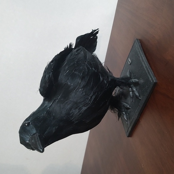 Black Raven Crow Sculpture Real Feathers Bird Halloween Decor Movie Set Prop - Picture 7 of 14